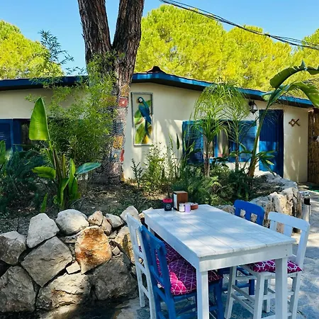 Campsite Yesilcam