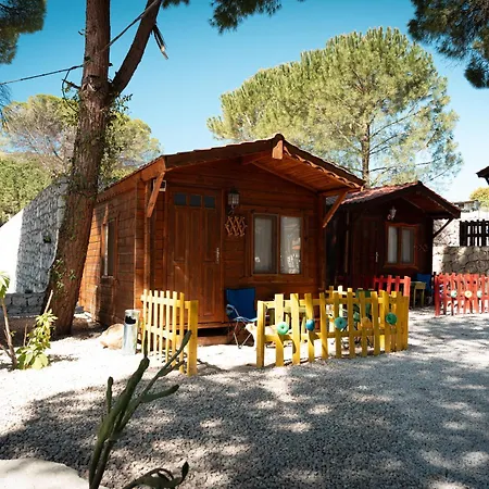 Campsite Yesilcam *