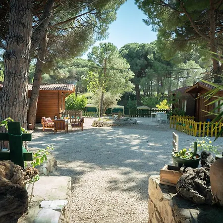 Campsite Yesilcam
